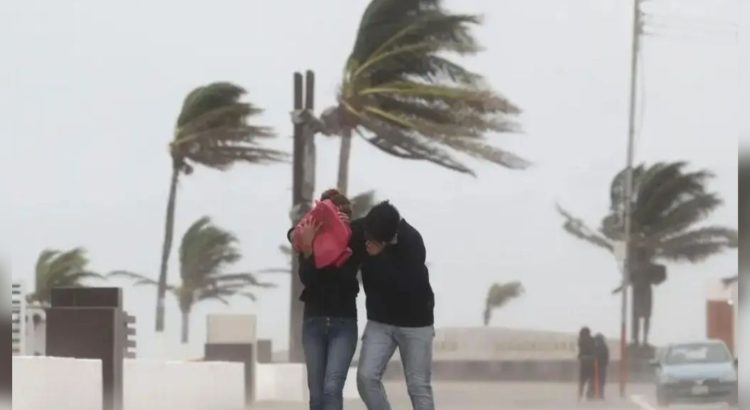 Bienestar lista ante posibles ciclones en México, asegura Ariadna Montiel desde Tabasco