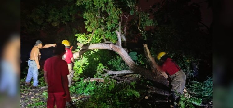 Atienden cuerpos de emergencia situaciones causadas por fuertes lluvias en Tabasco