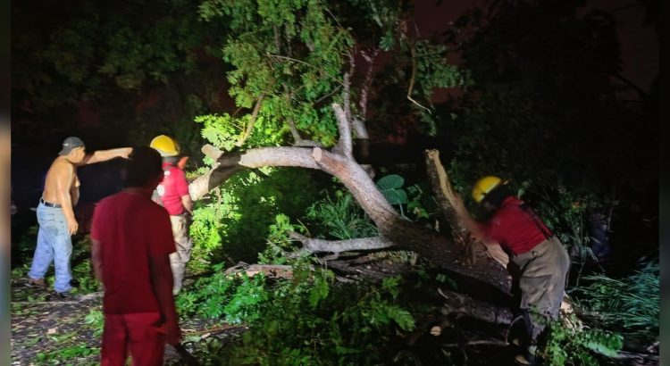 Atienden cuerpos de emergencia situaciones causadas por fuertes lluvias en Tabasco