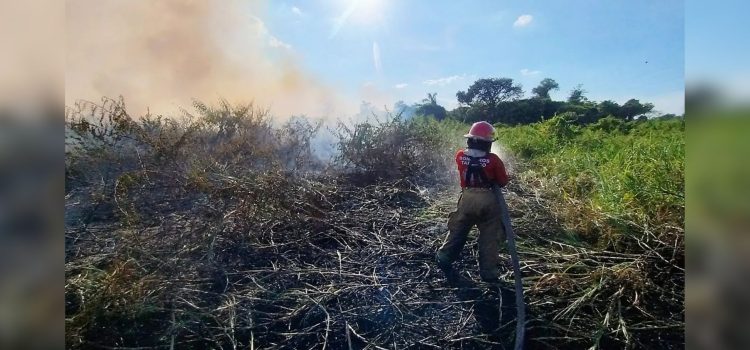 Incendios forestales afectaron unas 10 mil hectáreas en Tabasco, estima Conafor