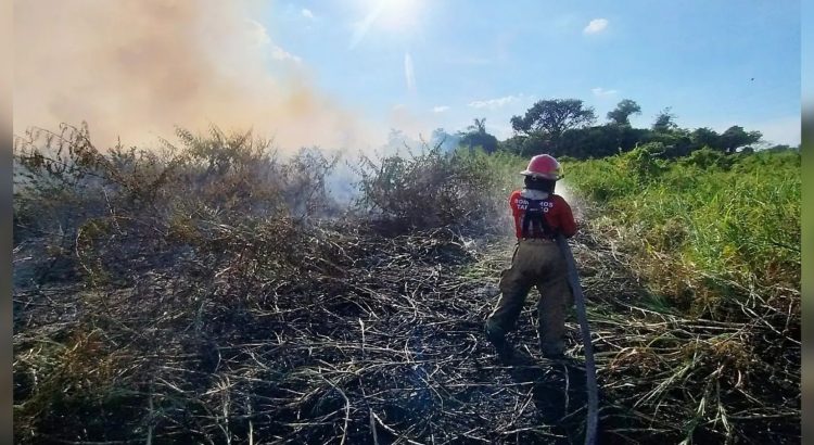 Incendios forestales afectaron unas 10 mil hectáreas en Tabasco, estima Conafor