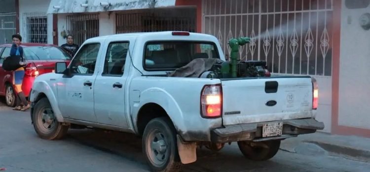 Tabasco registra 315 casos de dengue, reporta Salud federal