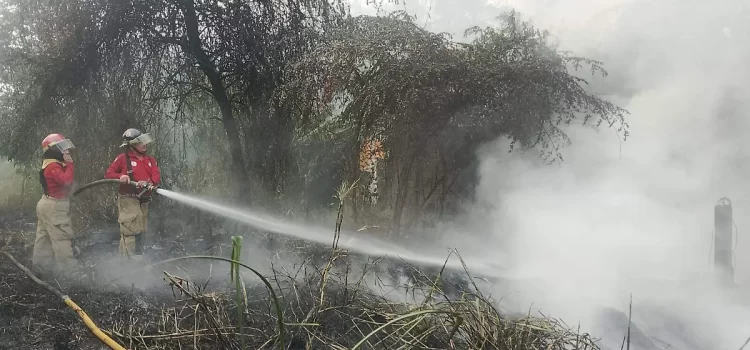Tabasco, séptimo lugar nacional en superficie afectada por incendios forestales