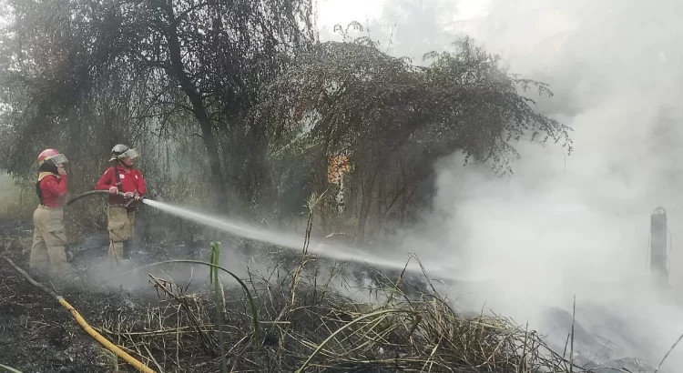 Tabasco, séptimo lugar nacional en superficie afectada por incendios forestales
