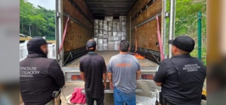 Incauta FGR más de una tonelada de marihuana en Tabasco