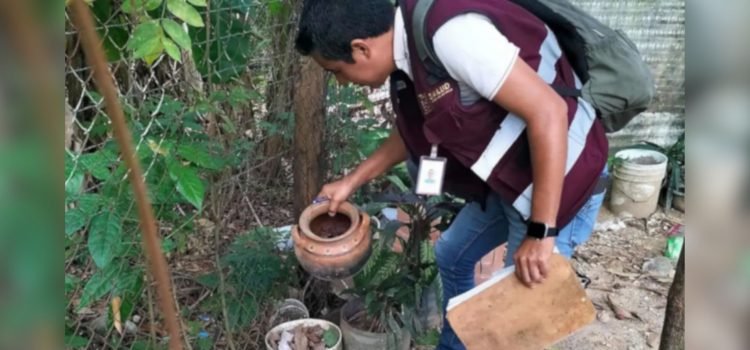 Anuncia Salud operativo contra el dengue en los 17 municipios de Tabasco