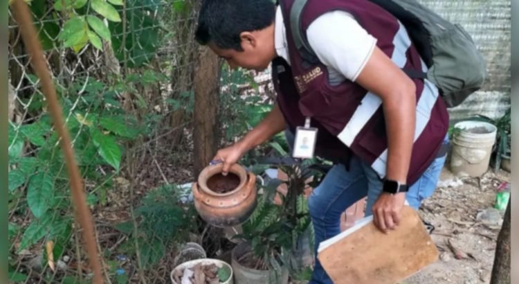 Anuncia Salud operativo contra el dengue en los 17 municipios de Tabasco
