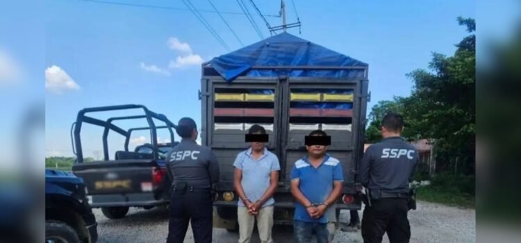 Fuerzas federales decomisan 300 kilogramos de mariguana en Tabasco Fuerzas federales decomisan 300 kilogramos de mariguana en Tabasco