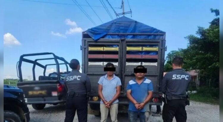 Fuerzas federales decomisan 300 kilogramos de mariguana en Tabasco Fuerzas federales decomisan 300 kilogramos de mariguana en Tabasco