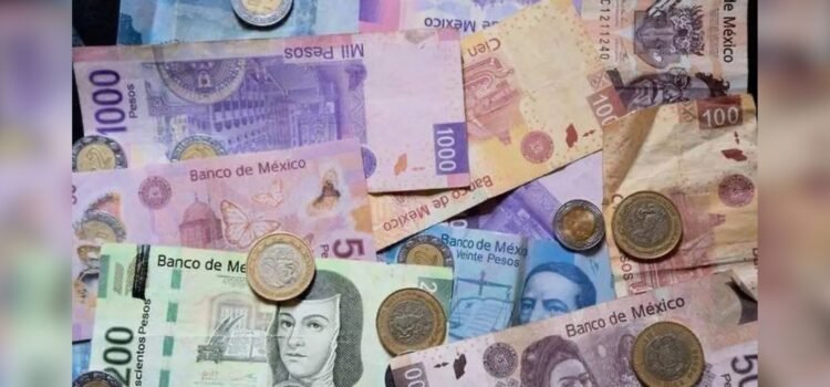 No hay recorte al presupuesto 2026 para Tabasco, afirma diputado federal