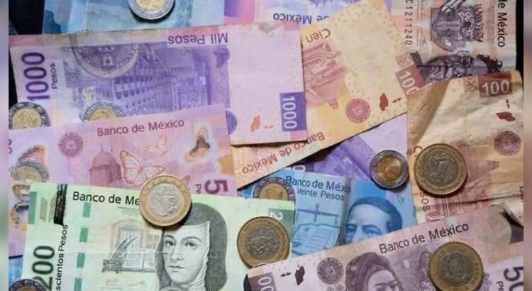 No hay recorte al presupuesto 2026 para Tabasco, afirma diputado federal