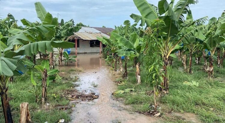 “No dio tiempo a nada”: familias de Teapa reviven las inundaciones del río