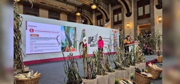 Impulsarán en Tabasco la producción y venta del maíz nativo con plan nacional Impulsarán en Tabasco la producción y venta del maíz nativo con plan nacional