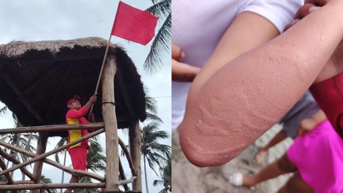 Playas de Tabasco: entre derrames de petróleo, mal tiempo y la presencia de medusas