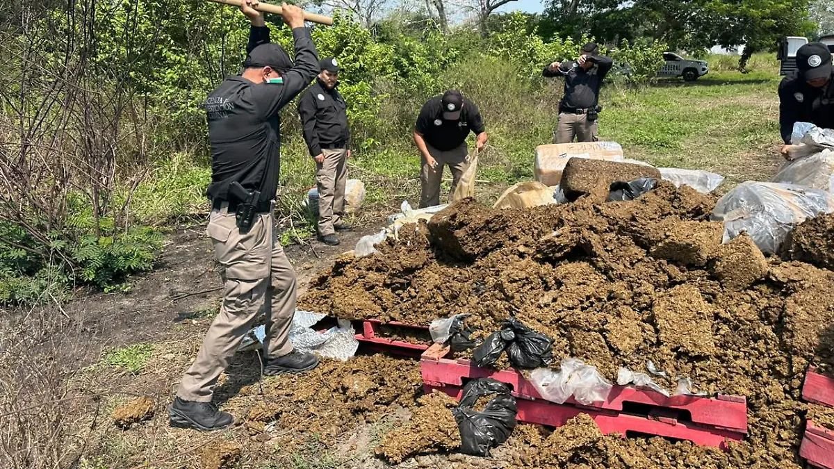 Destruyen marihuana, metanfetamina y cocaína en Tabasco
